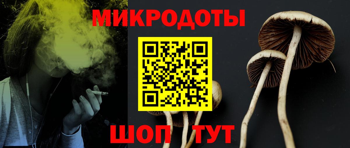 Псилоцибиновые грибы мухоморы  Вход с VPN  Псилоцибиновые грибы Cubensis  Новозыбков 
